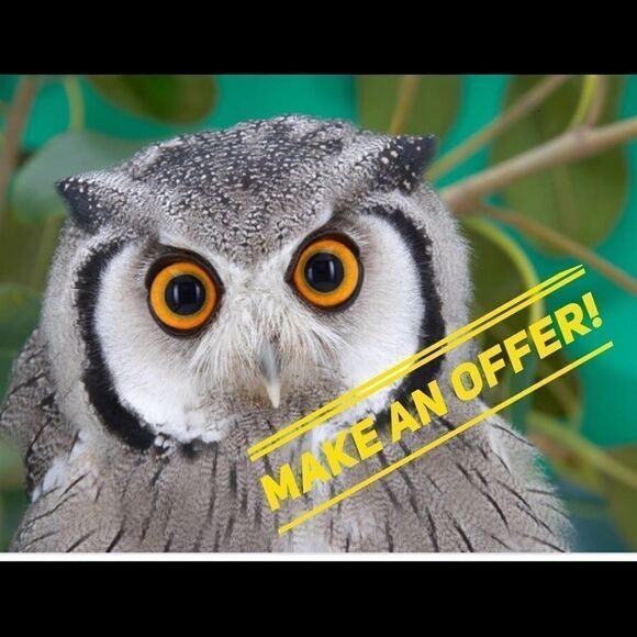 Likes❤️❤️❤️❤️   - Picture 3 of 4